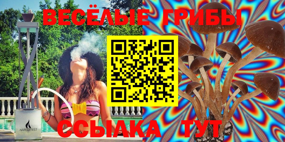 Чусовой  Галлюциногенные грибы Magic Shrooms  Вход с VPN 
