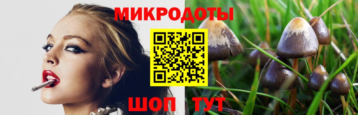 Галлюциногенные грибы GOLDEN TEACHER Чусовой